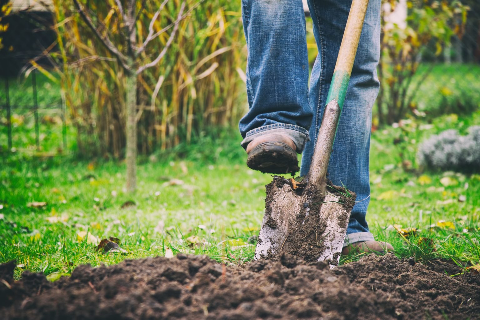 En fot med en støvel står på en spade, under hagearbeid.
