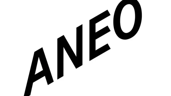 Svart tekst med logo for ANEO med fet, stor, sans-serif skrift på hvit bakgrunn.